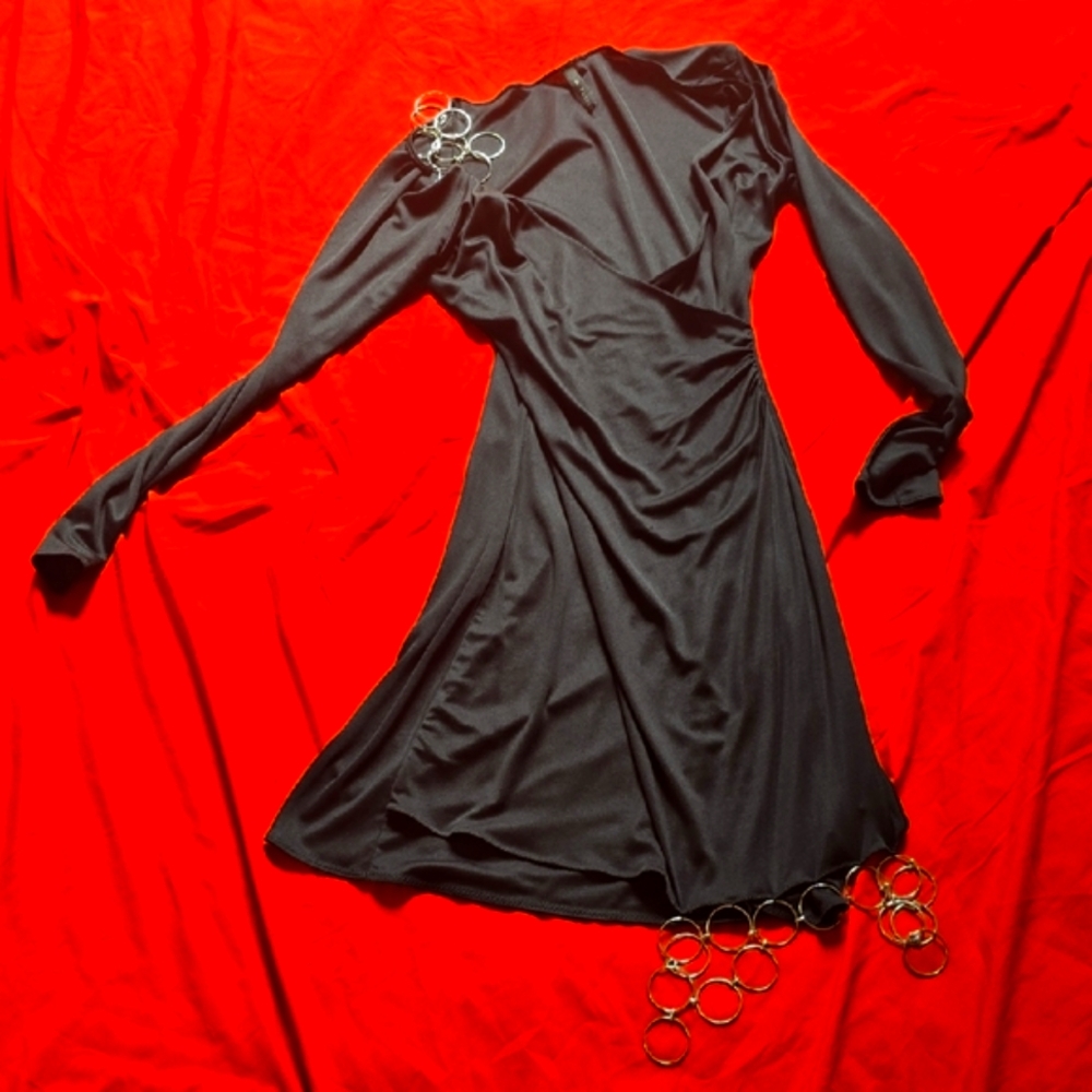 Poleci Silver and Black Sheath Dress with Bishop Sleeves